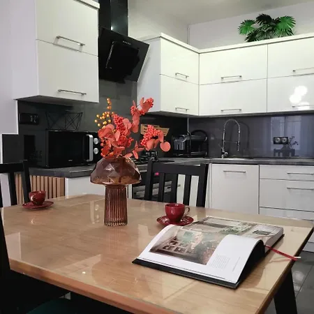 Czekoladowy Zdroj Appartement *