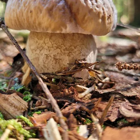 公寓 Czekoladowy Zdroj *