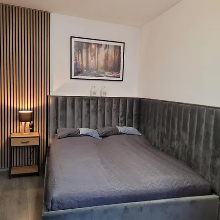 Czekoladowy Zdroj 公寓 Duszniki Zdrój